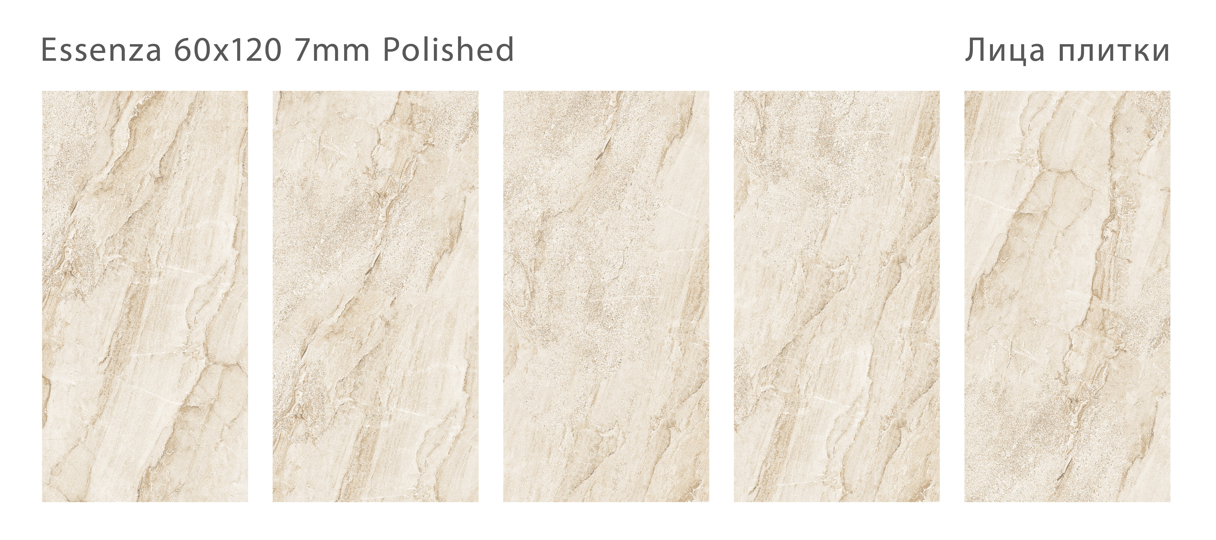 На пол Modern Palermo Polished 7мм 60x120 - фото 15