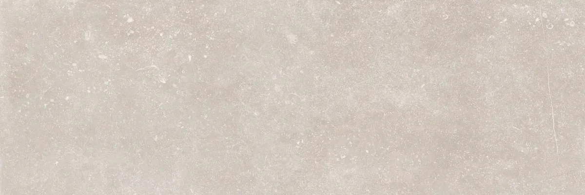 R0001633 На стену Bleuemix Taupe 40x120 - фото 6