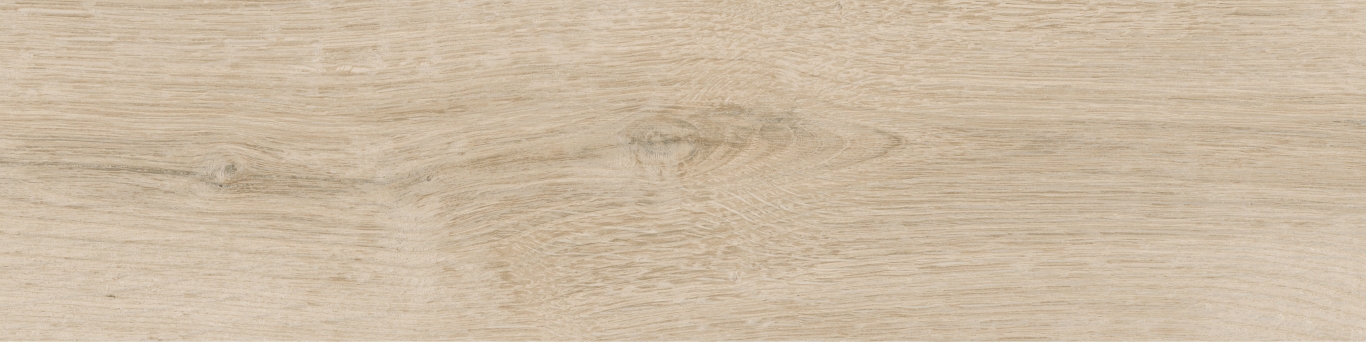 KM1040G0001N На пол Аргания Бежевый светлый матовый 9.9x40.2x0.8 - фото 20