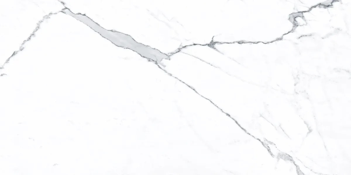 P0003810 На пол Idyllic Statuario White Starlight 120x60 - фото 5