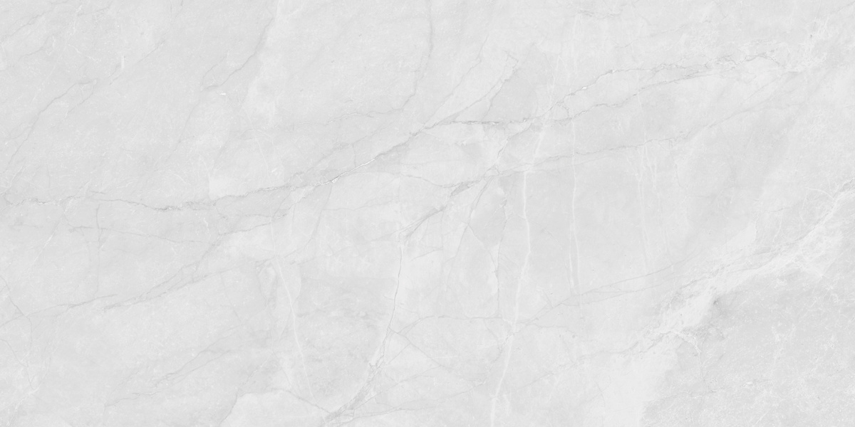 LP6012G0231R  На пол Berna Silver светло-серый матовый 59.5х119.1 - фото 5