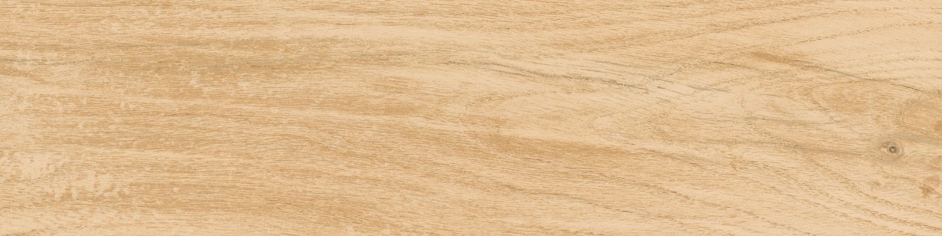 KM1040G0011N На пол Аргания Бежевый матовый 9.9x40.2x0.8 - фото 7