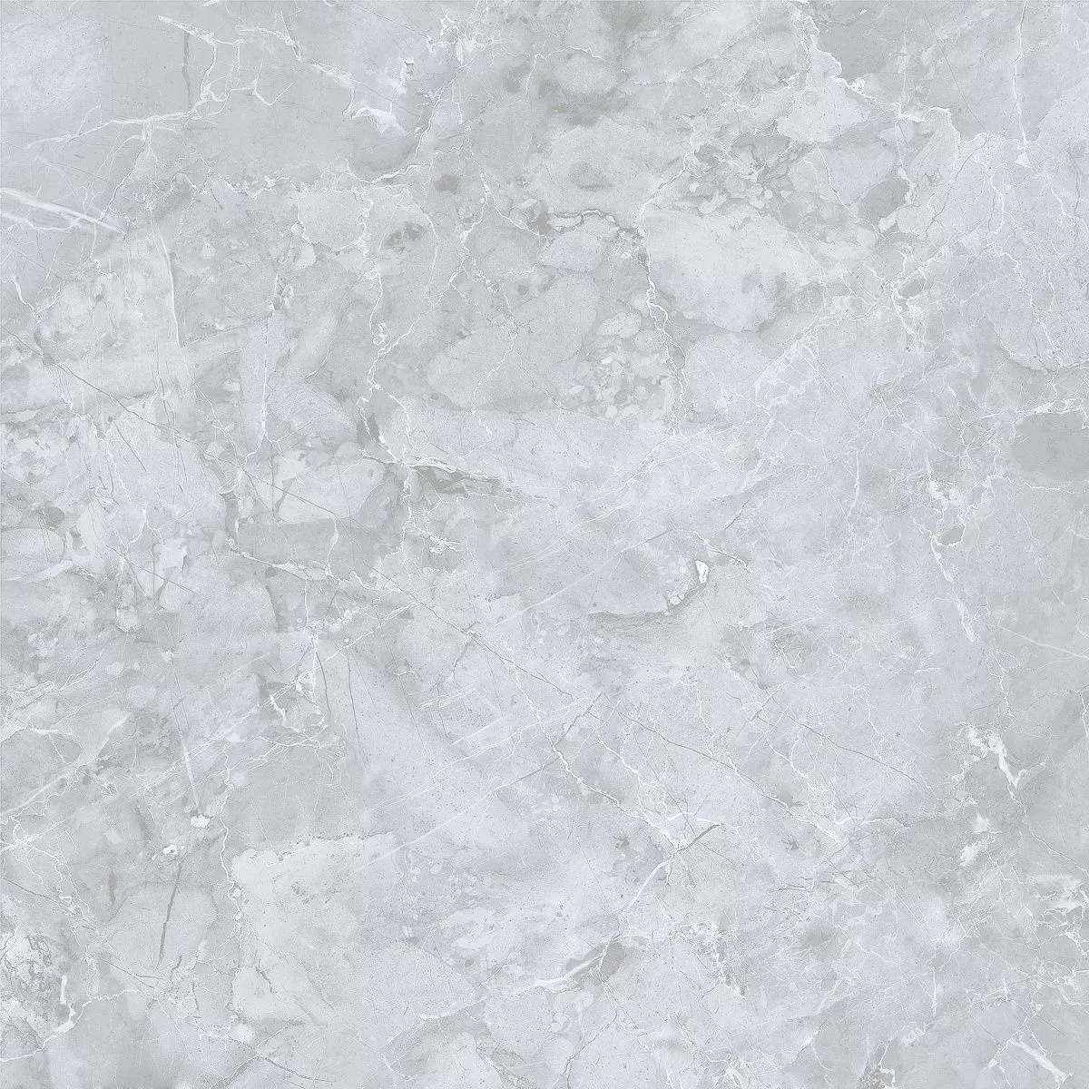 E-3019/MR/600x600x9 На пол Genio Серый ректификат 600x600x9 - фото 2