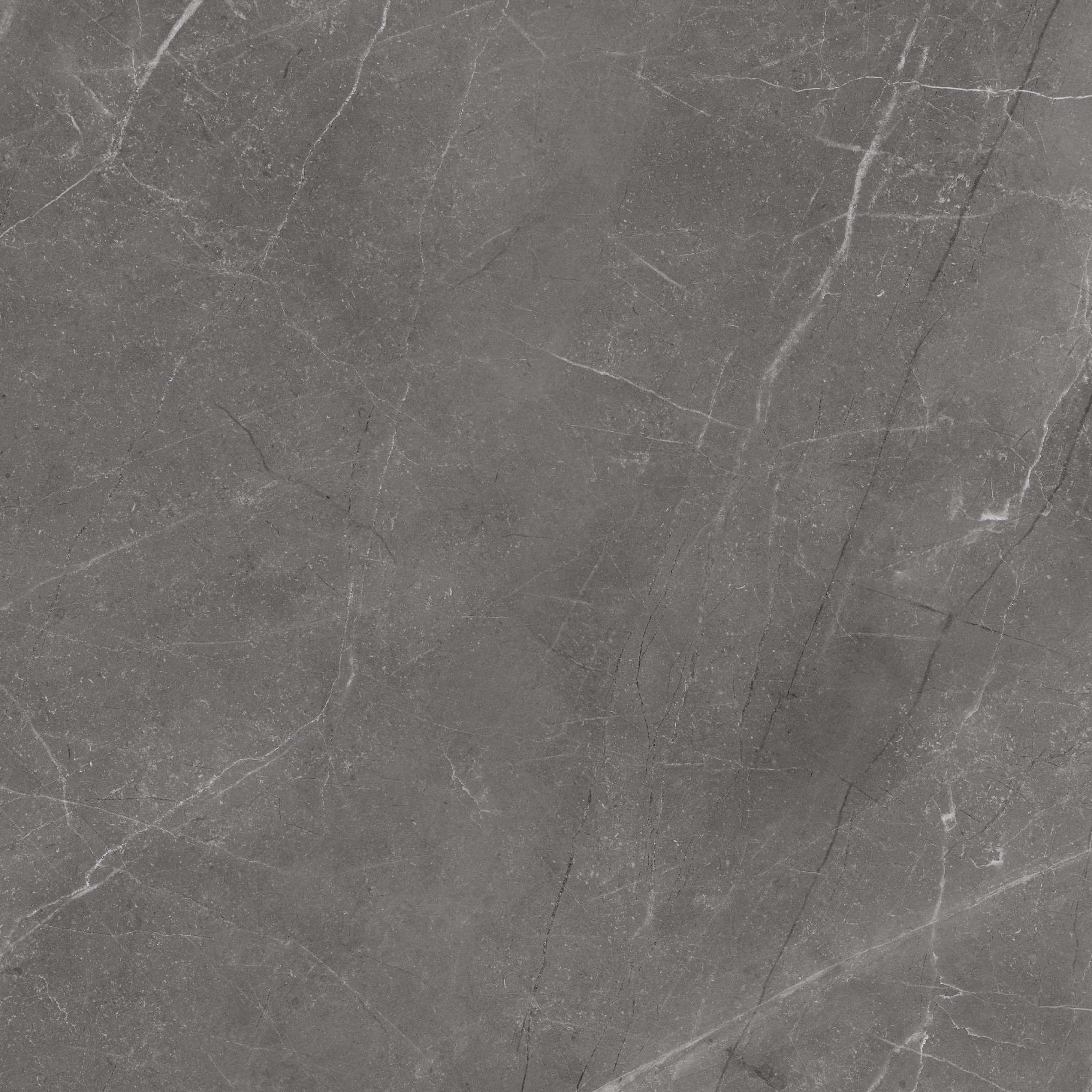 На пол Vibrant Grey Carving 60x60