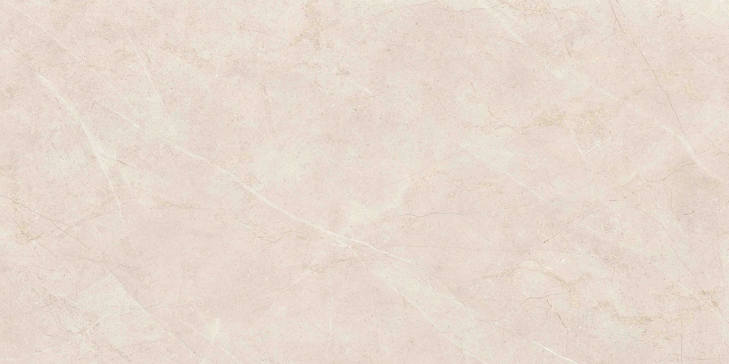 K958007R0001VTER На пол MoonLight Греж Матовый R10A Ректификат 60x120 - фото 3