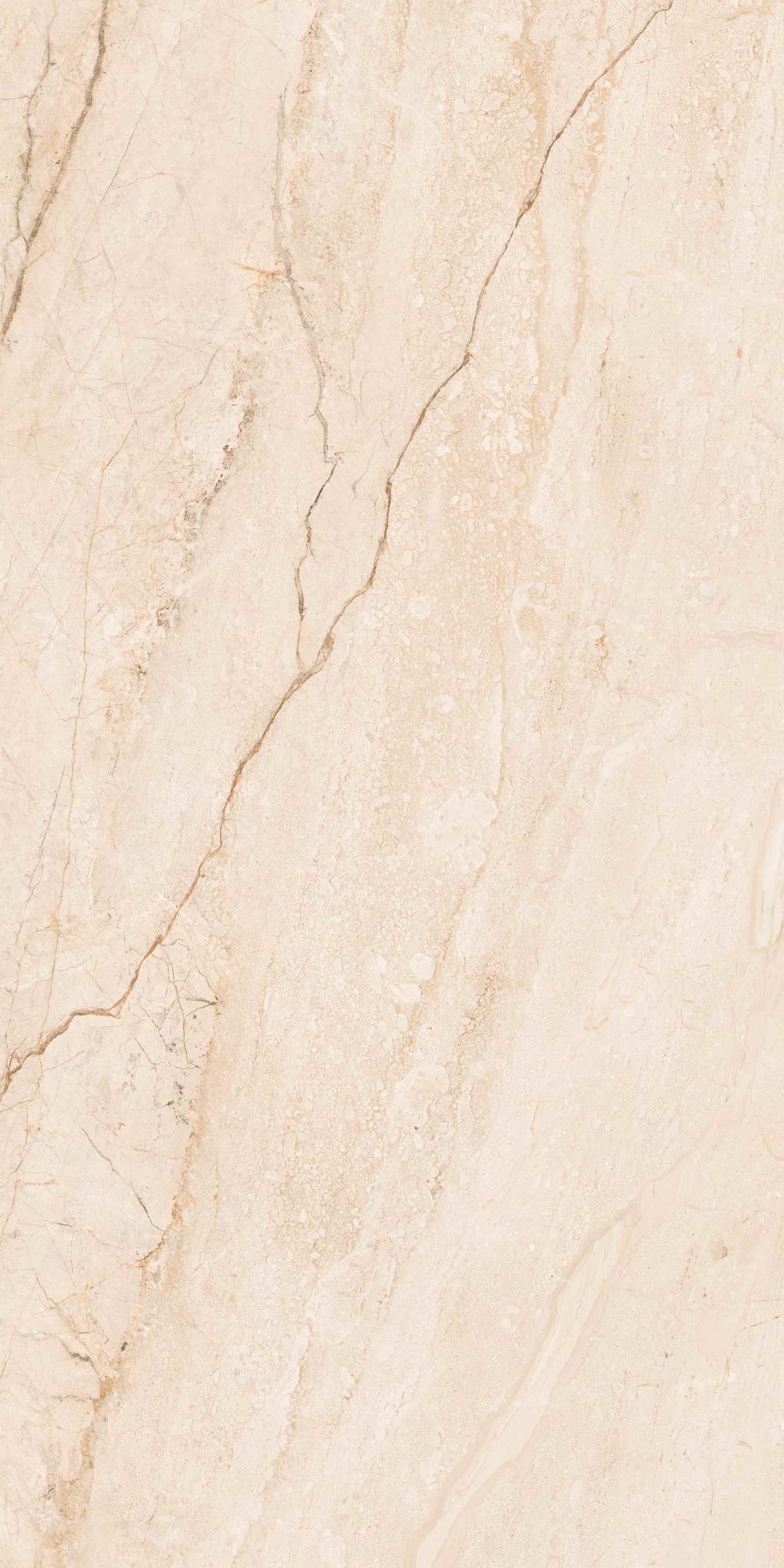 На пол Clevado Beige Deck 60x120 - фото 4