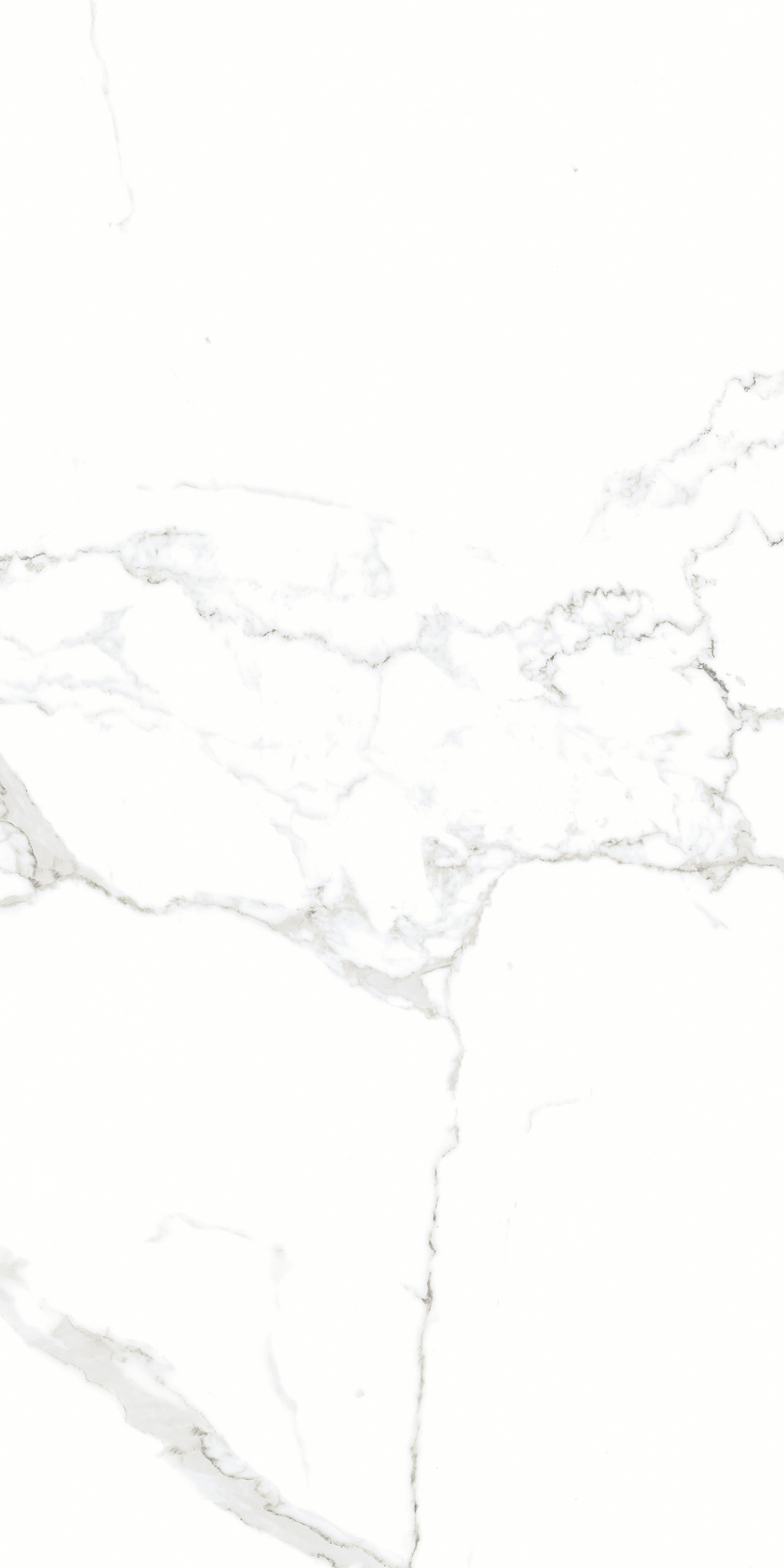 905  На пол Marble 5.5mm Silver Shine 120x60 - фото 2