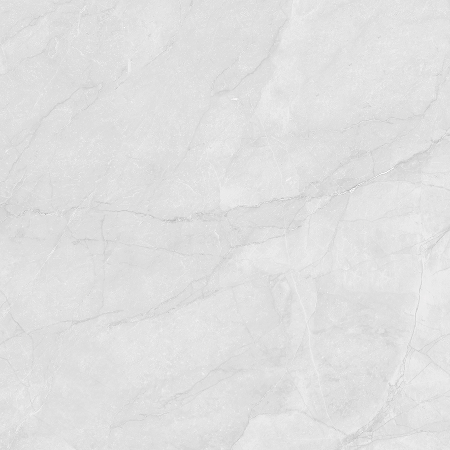 LP6060G0241R На пол Berna Silver светло-серый матовый 59.5х59.5