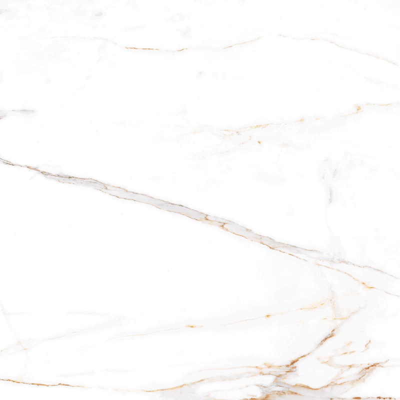 P104082160G Напольный Afion Gold Glossy 60х60 - фото 4