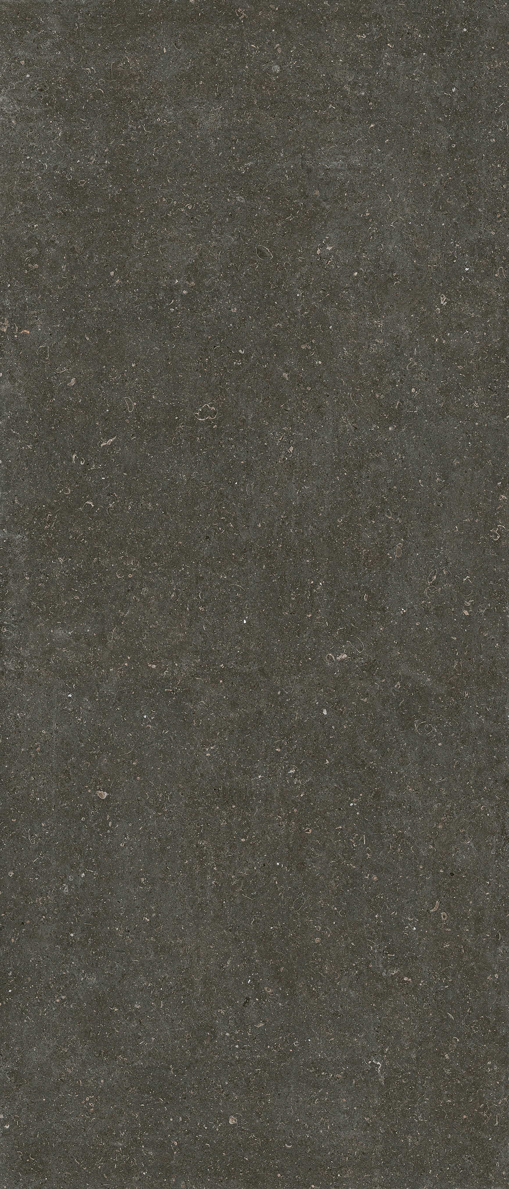 785573 На пол Rinascenza Arena Platino Matte 6mm 120x280