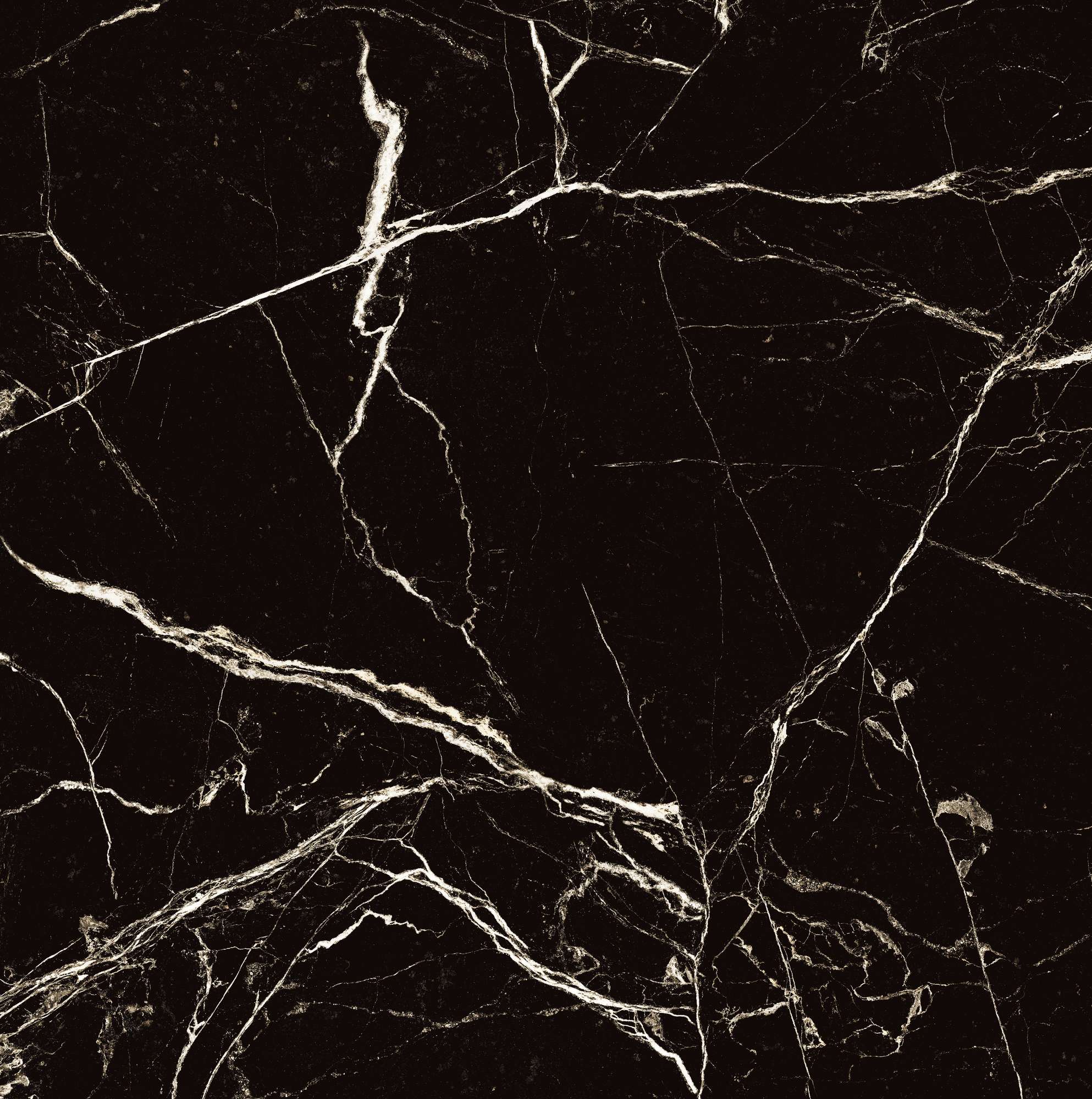 HG2008-A На пол Black Spinder High Gloss 60x60 - фото 4