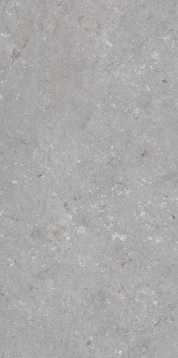 005485 На пол Shellstone Grigio 60x120