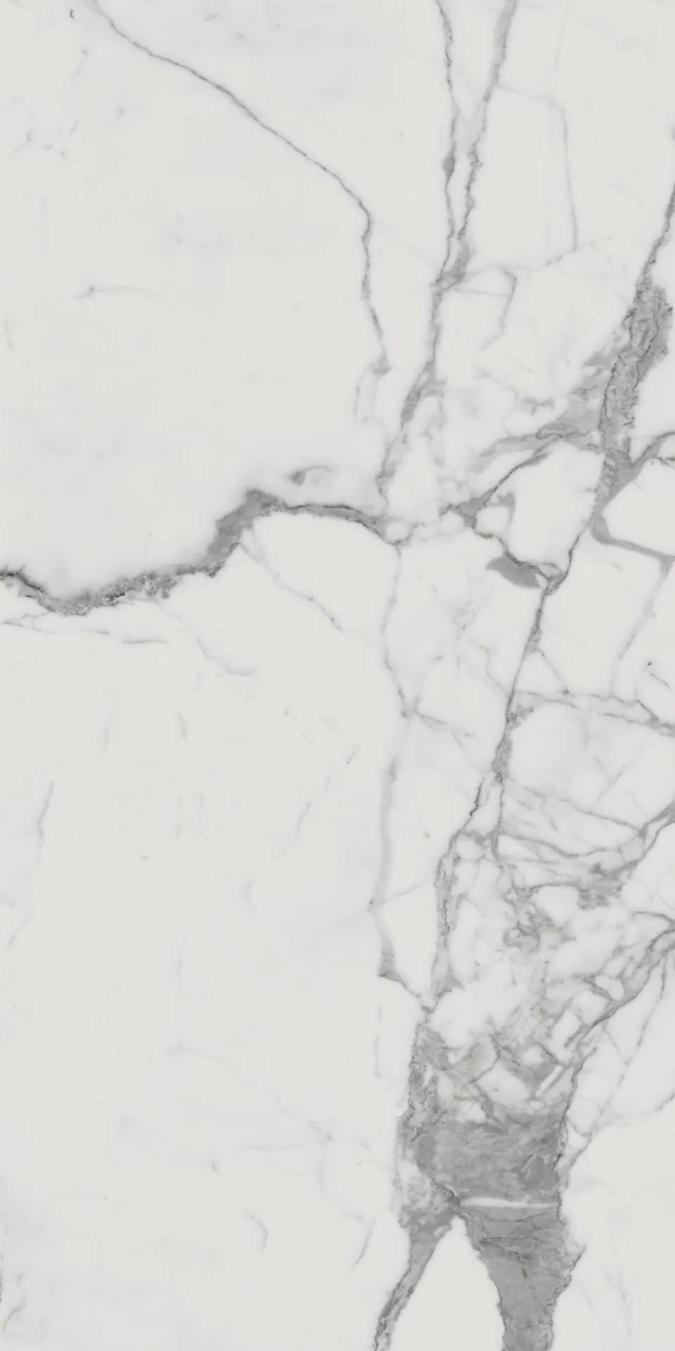 610010001682 На пол Charme Evo Floor Project Статуарио 80x160 Натуральный и Реттифицированный