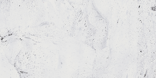 010402001277 На стену Inverno White wall 01 - фото 5