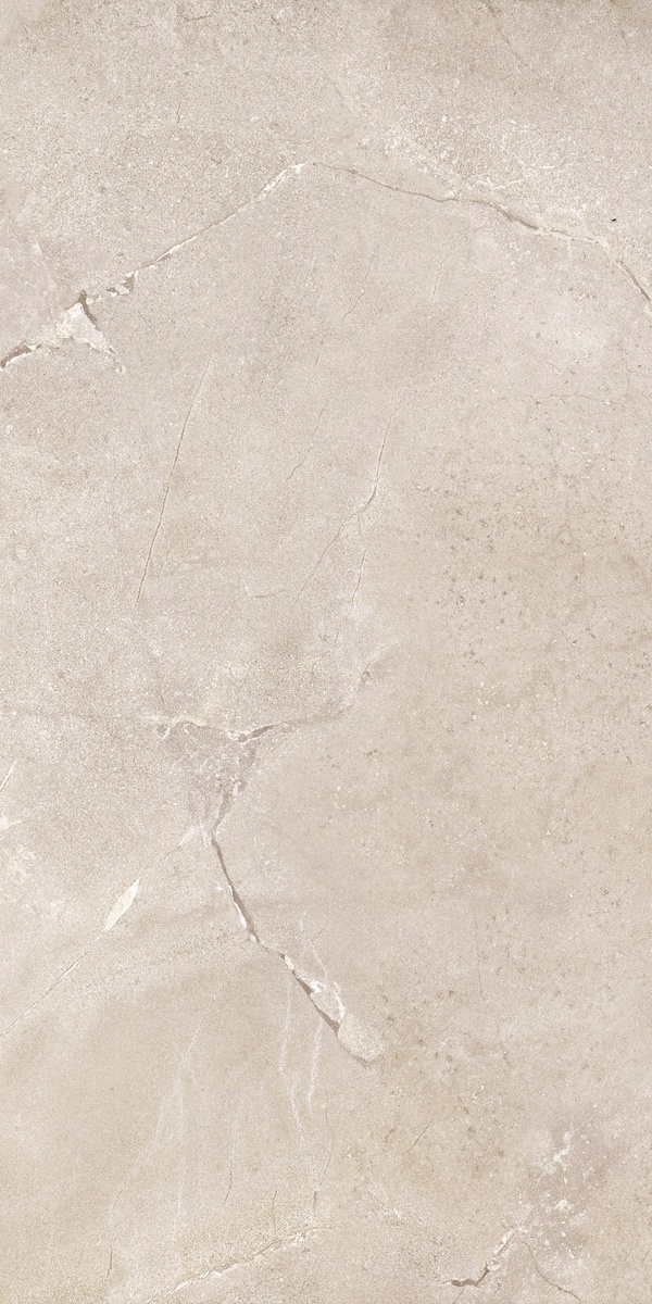 DNWS201 На пол New Stone Daino 60x120 - фото 4