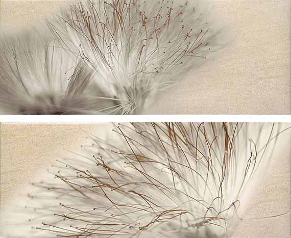 Панно Globe grafito Set (2) Base Miel 20x50