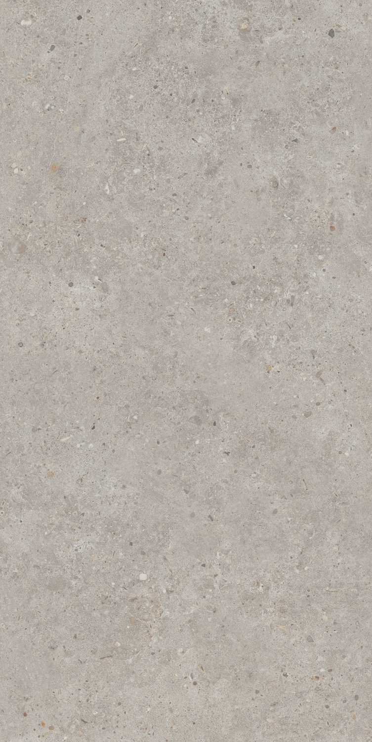 SG519920R На пол Риккарди Серый Светлый Матовый Обрезной 60х119.5 - фото 3