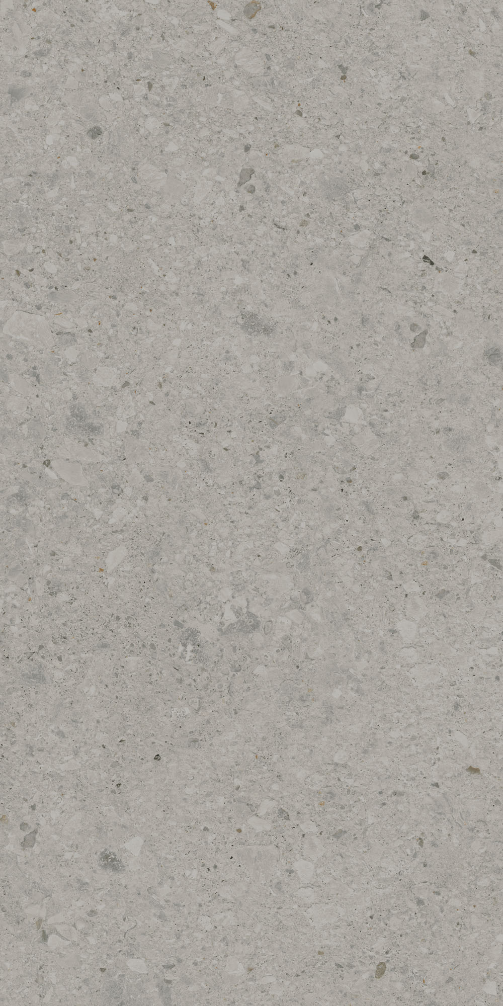 DD591400R На пол Чеппо ди Гре Серый матовый обрезной 119.5x238.5x1.1 - фото 7