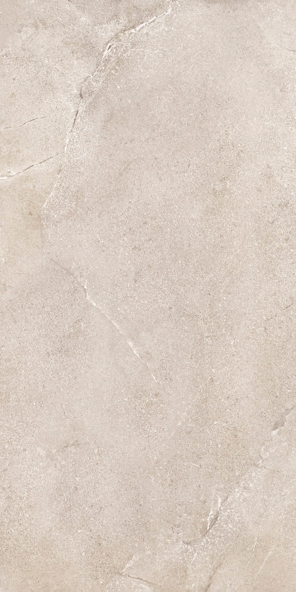 DNWS201 На пол New Stone Daino 60x120 - фото 3