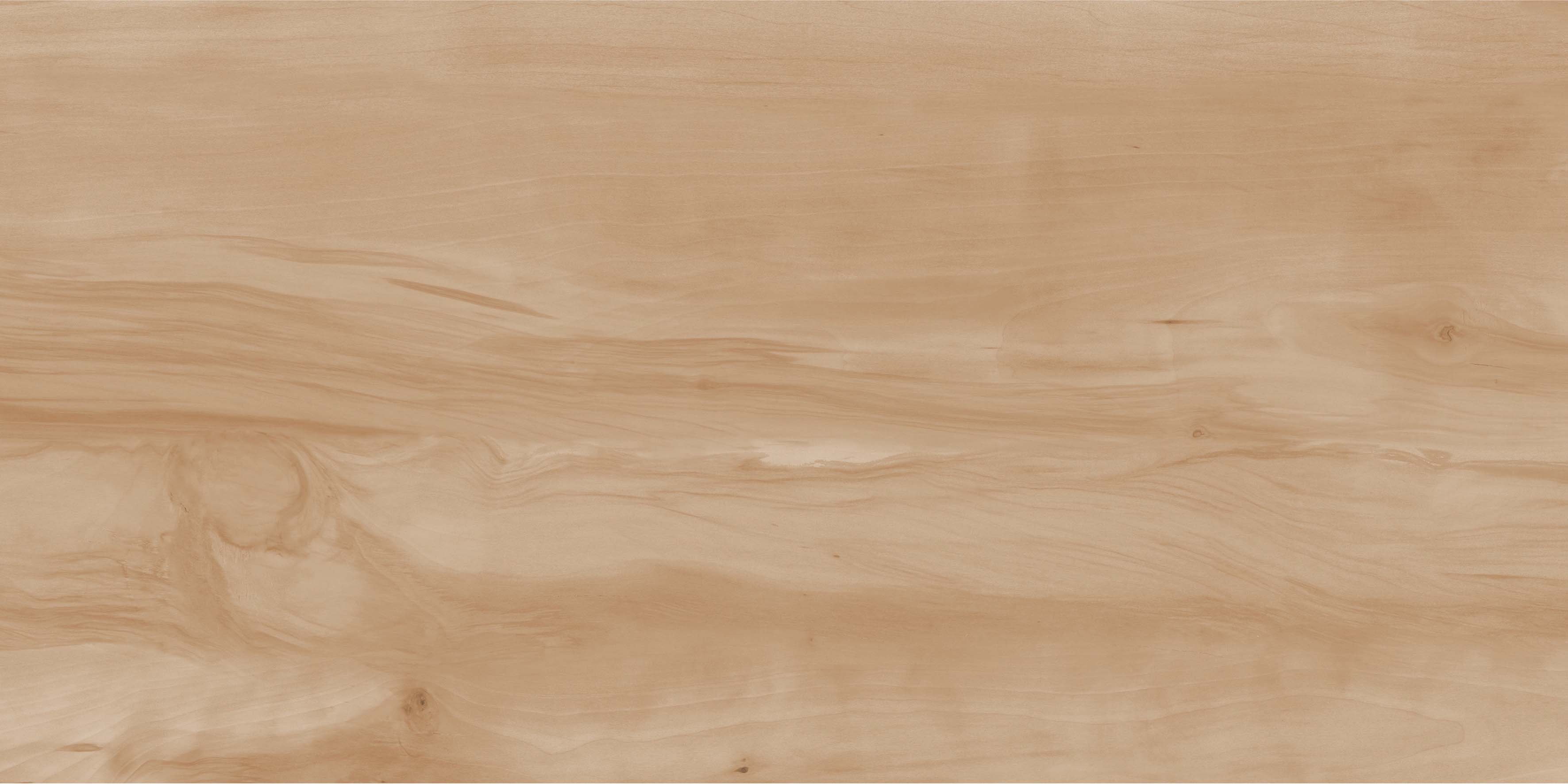 На пол Paint Wood Bone Gloss 60x120 - фото 5