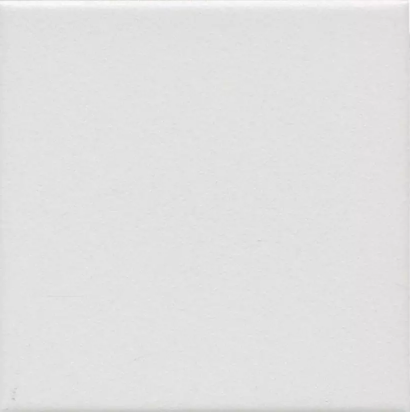 1332S На пол Агуста Белый Натуральный 9.8х9.8