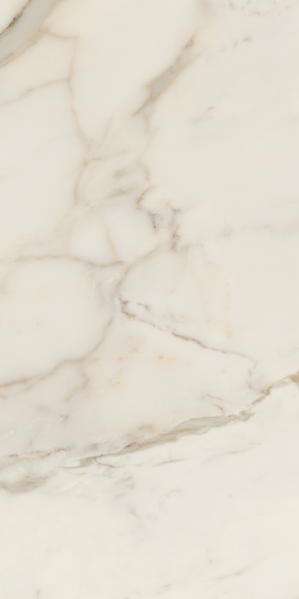 AGB4 На пол Anima Futura Golden White Luc. 120x60 - фото 4