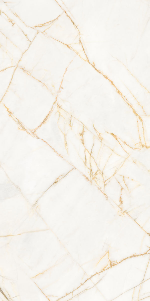 PF60017518 На пол Supreme Hedonism Golden Spider Nat R 60x120 - фото 15