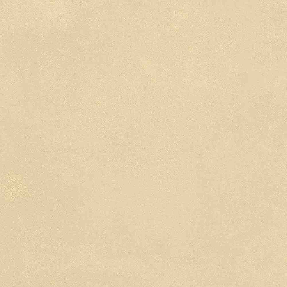 ENCLR6079MT2020 На пол Levels Avorio Matt 200х200х8 - фото 26