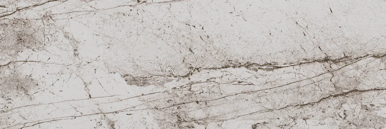 802 PSN1GY На стену Passion Light