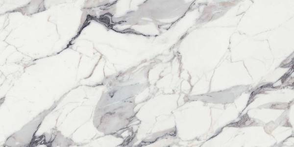 769859 На пол Les Origines De Rex Argent Glossy 60x120 Ret