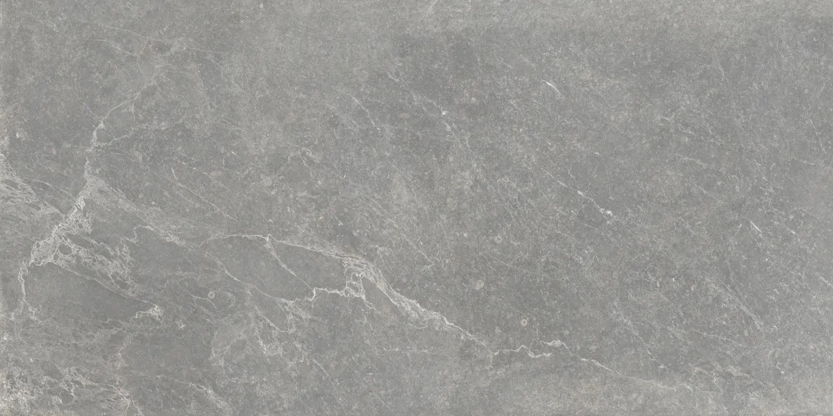 P0003697 На пол Bleuemix Grey 60x120