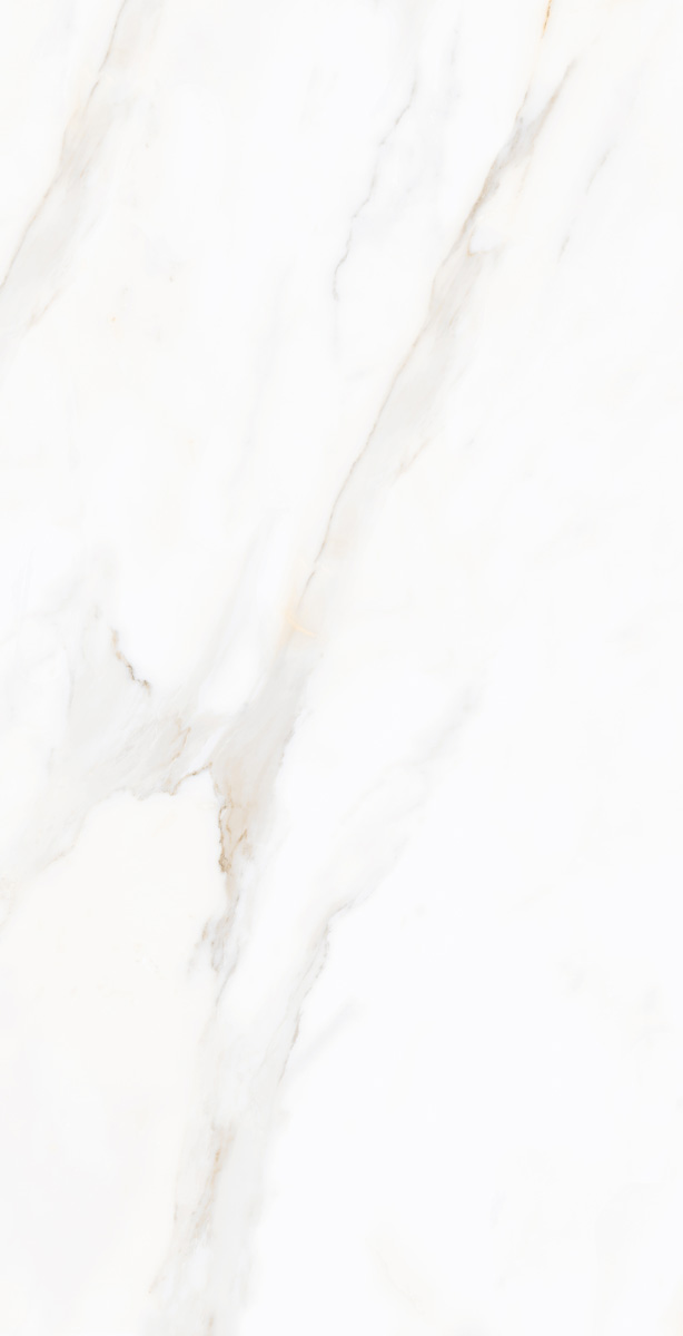 N9608T30 На пол Sharon  Light Polished 60х120 - фото 3