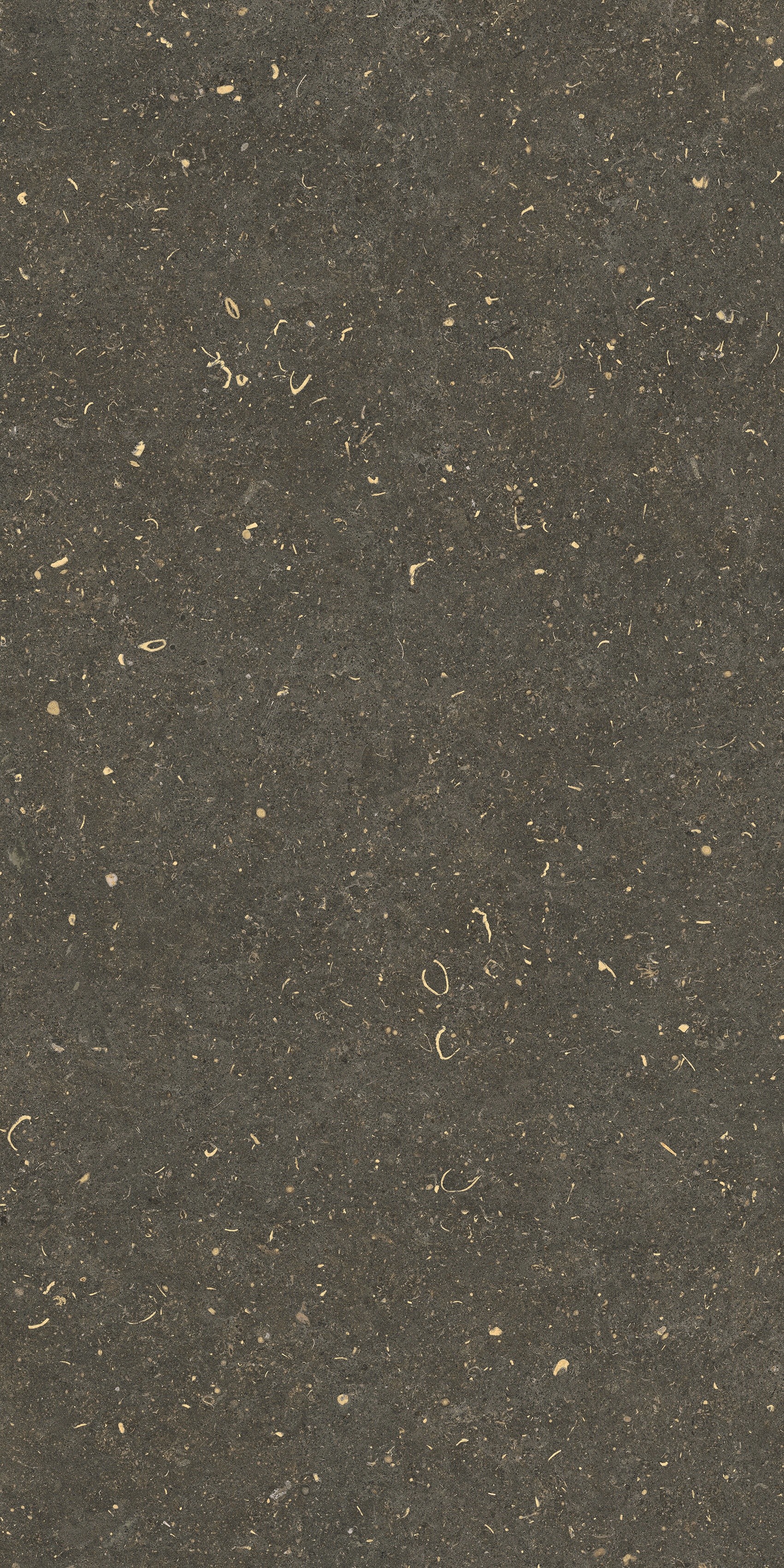 785511 На пол Rinascenza Arena Platino Grip 20mm 60x120 - фото 5