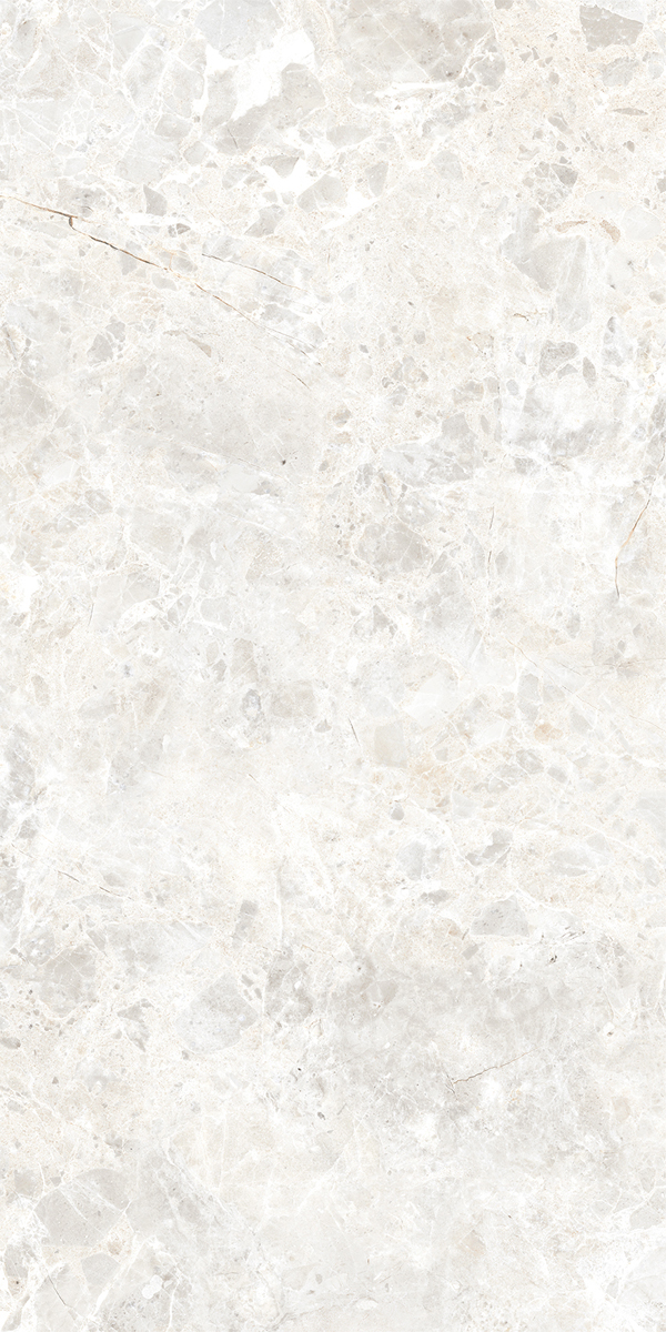 106516 На пол Breccia Paradiso White Matt 8.5mm 60x120 - фото 14