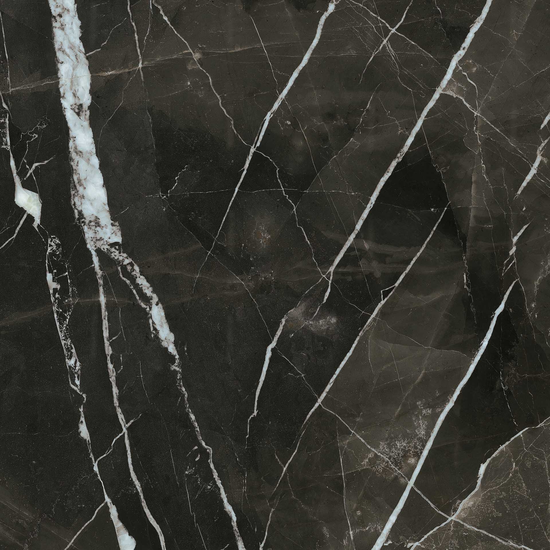 LU1208631 На пол Select Calacatta Black Lucido 8mm 120x120 - фото 2