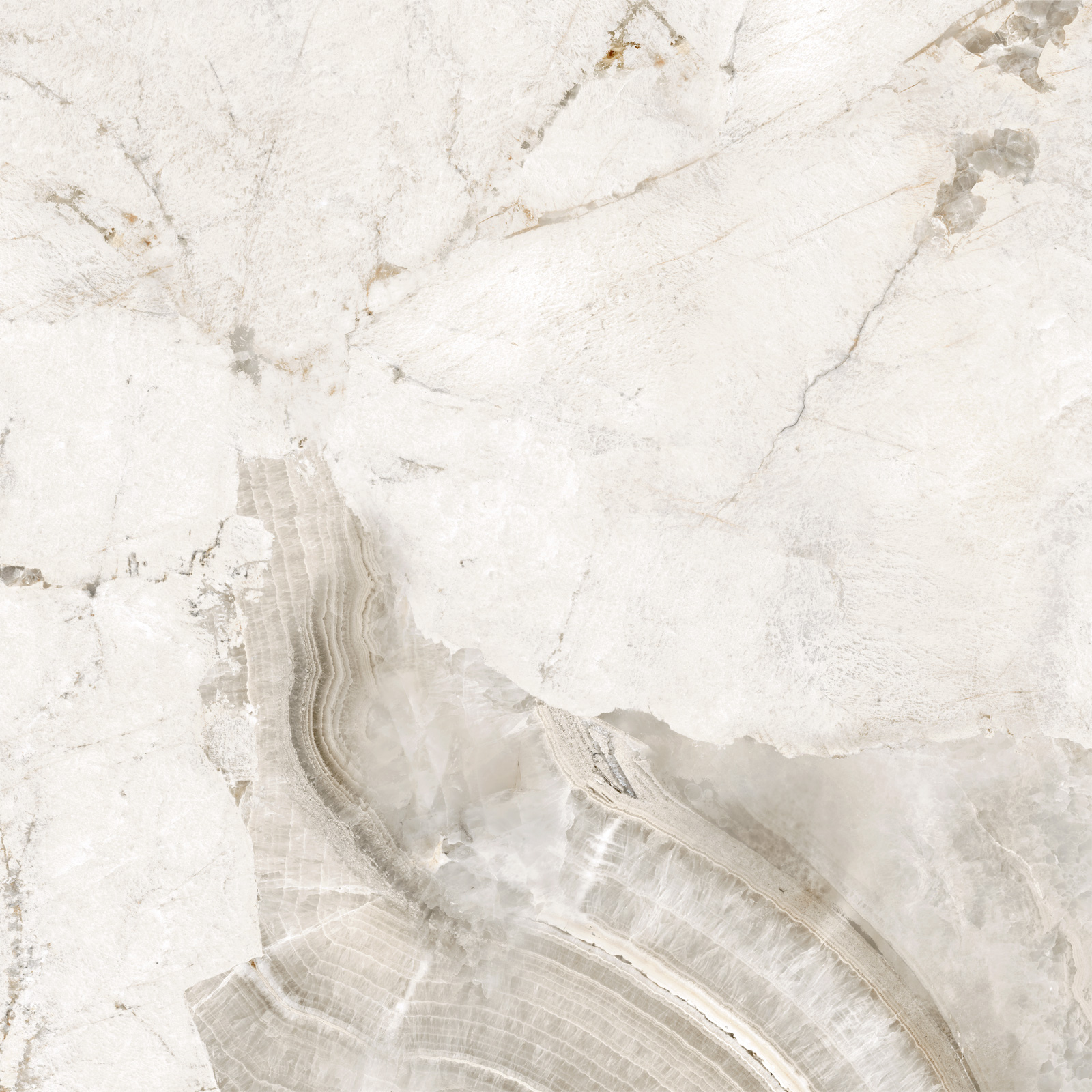 D60256М На пол Seashell Матовый 600x600x9.5 - фото 11