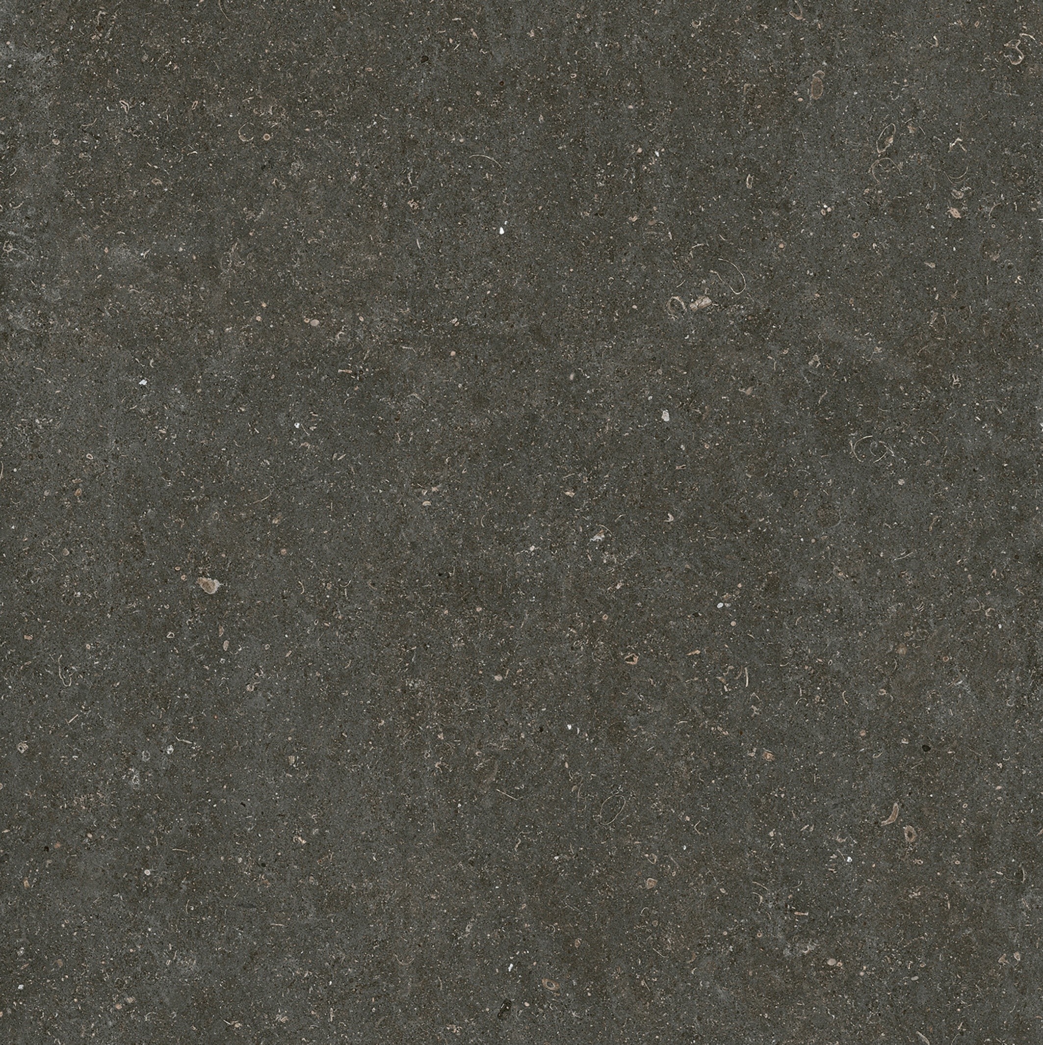 785581 На пол Rinascenza Arena Platino Matte 6mm 120x120 - фото 4