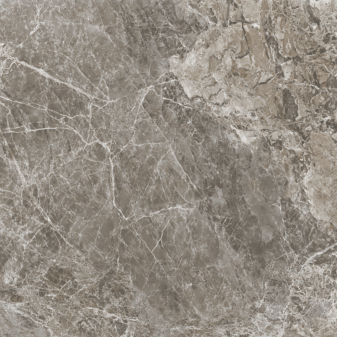 NR0386 На пол Tasos Коричневый Матовый 60x60 - фото 5