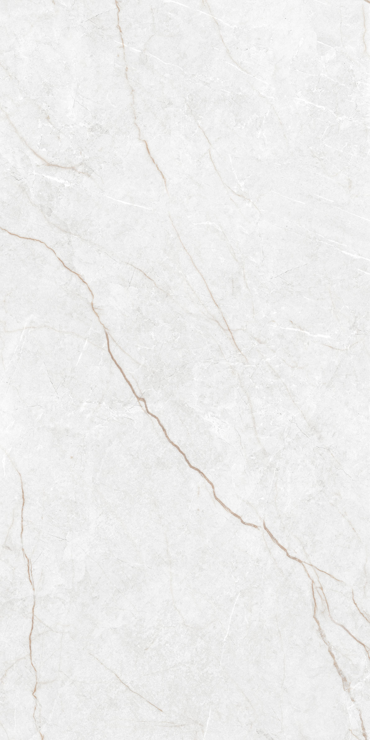 GT1206022206MGR На пол Agidel Светло-серый 60x120 - фото 2