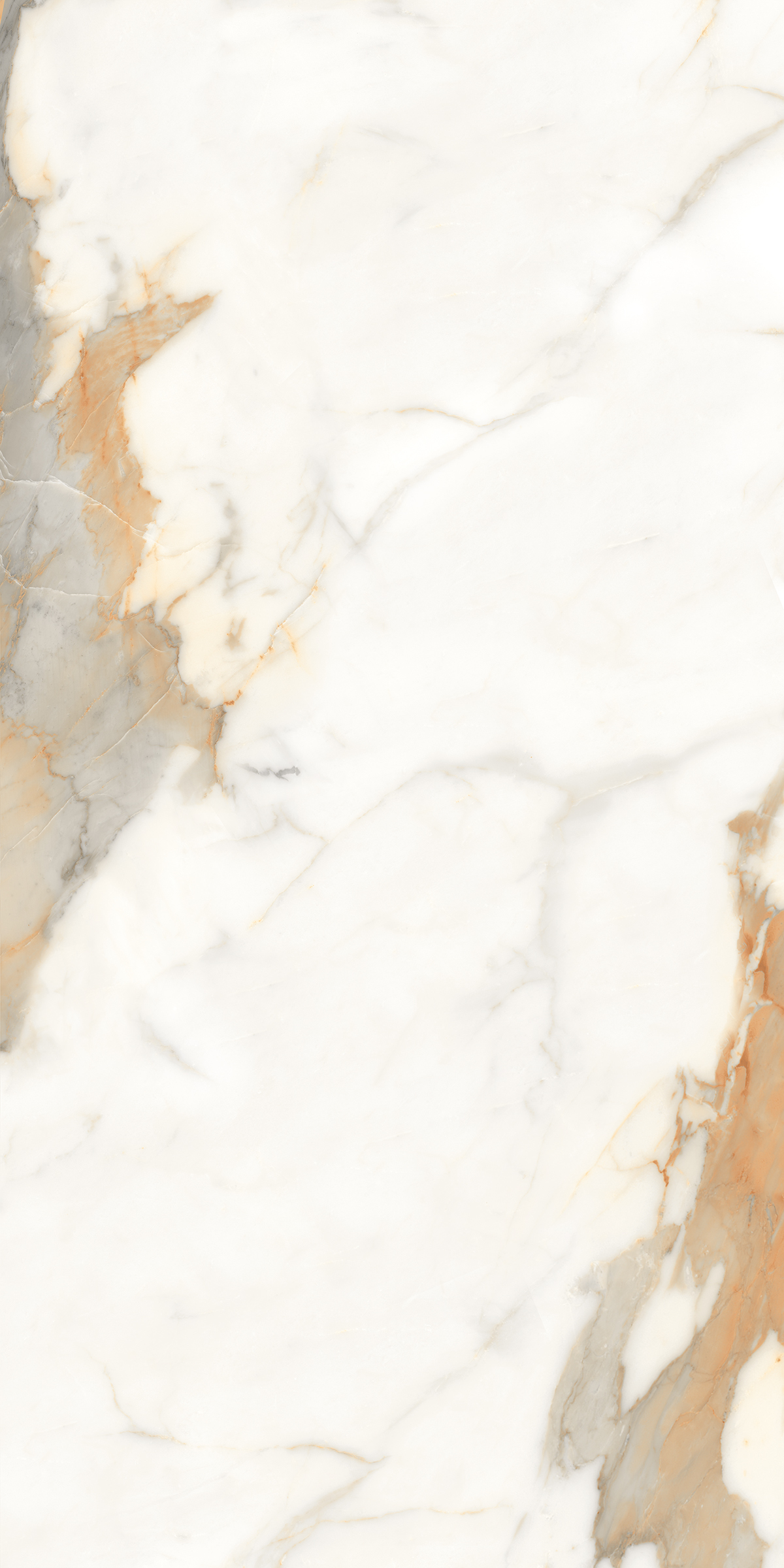 888  На пол Marble 5.5mm Calacatta Gold 120x60 - фото 4