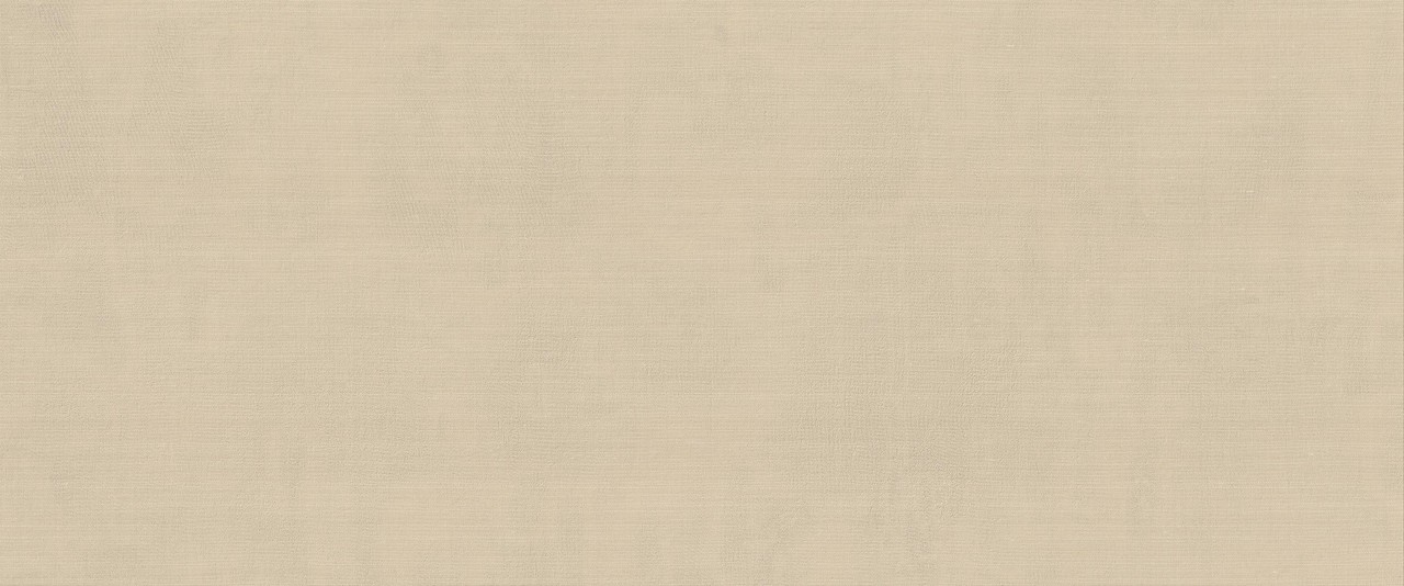 HCDR На стену Vest Ecru Matt 50x120