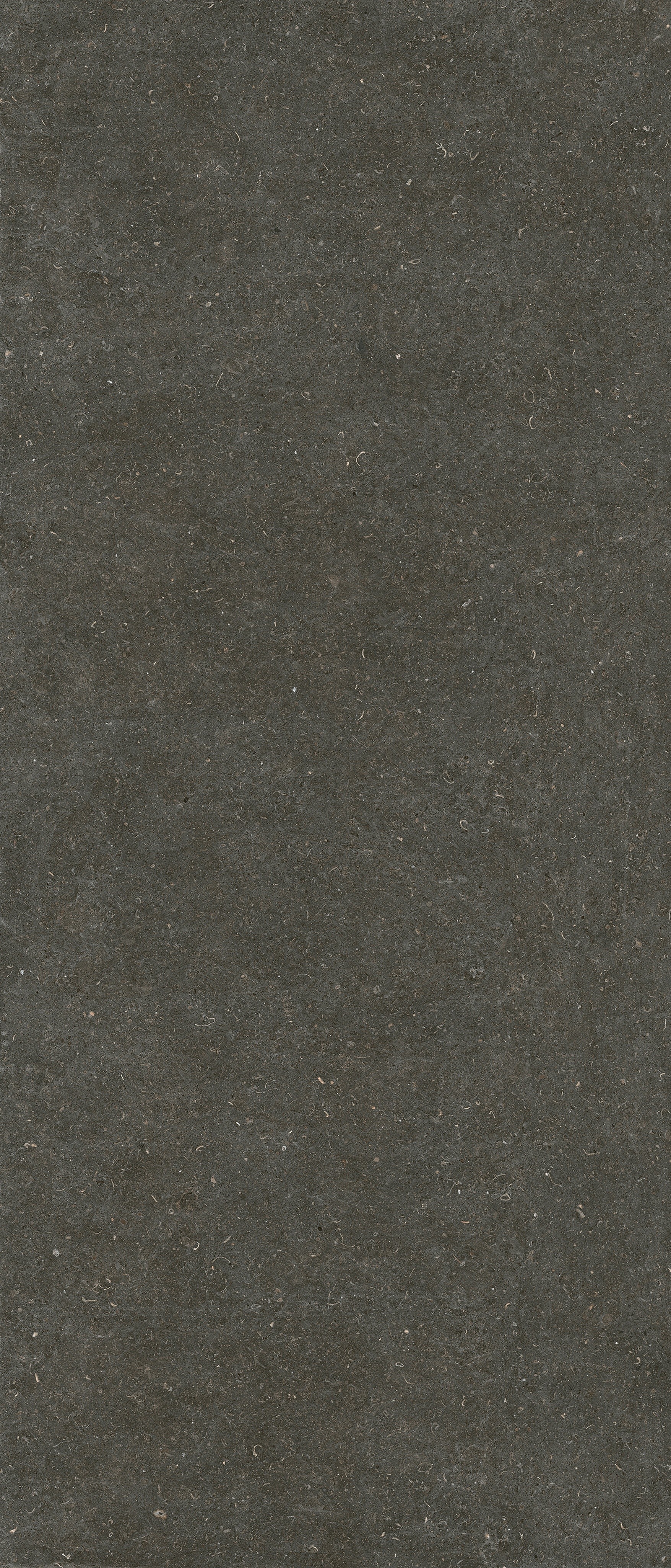 785573 На пол Rinascenza Arena Platino Matte 6mm 120x280 - фото 2