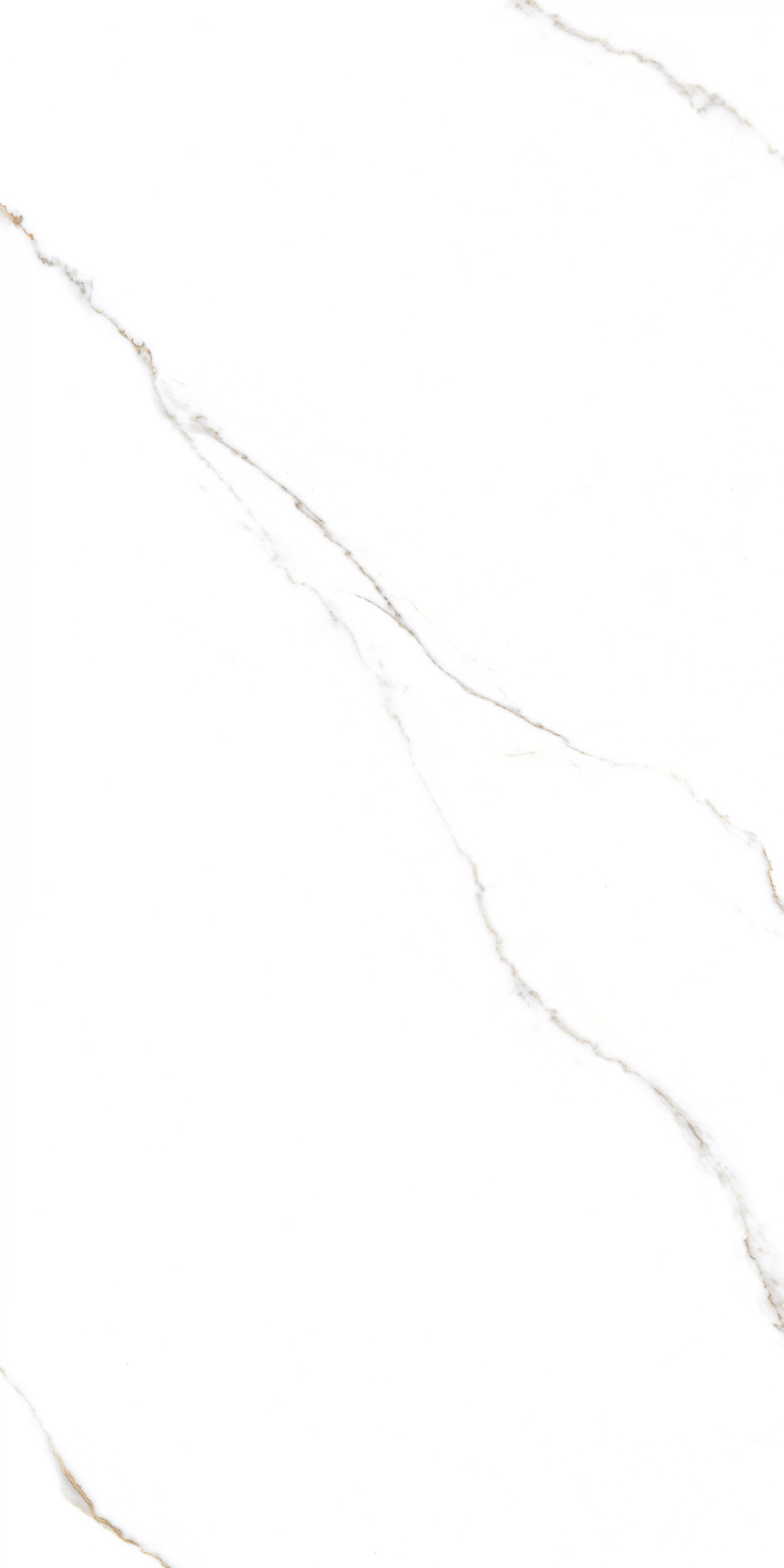 GT1206015103PR На пол Corus Белый полированный 60x120 - фото 4