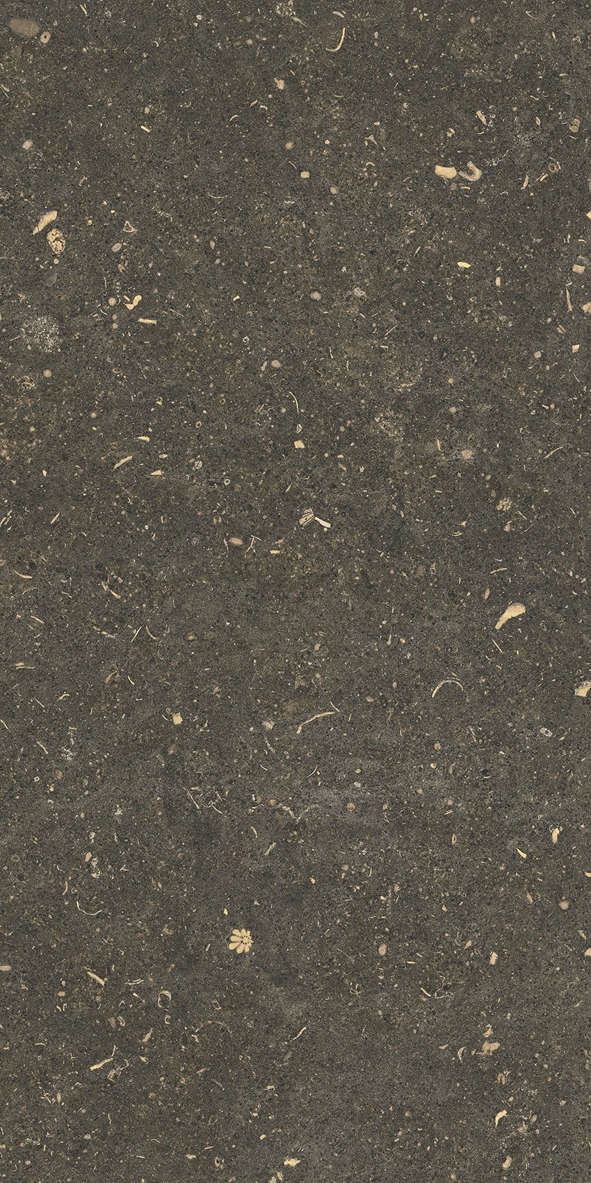 785491 На пол Rinascenza Arena Platino Matte 30x60 - фото 9