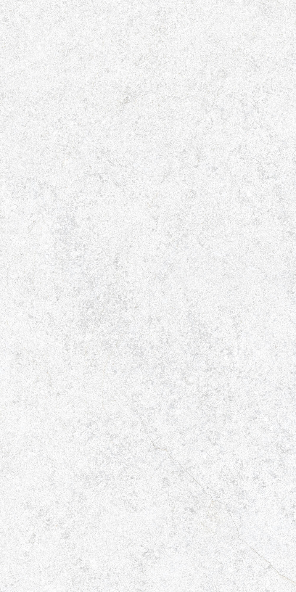 36905 На пол Cluny White 4D/50X100X2/A/R 50x100 - фото 12