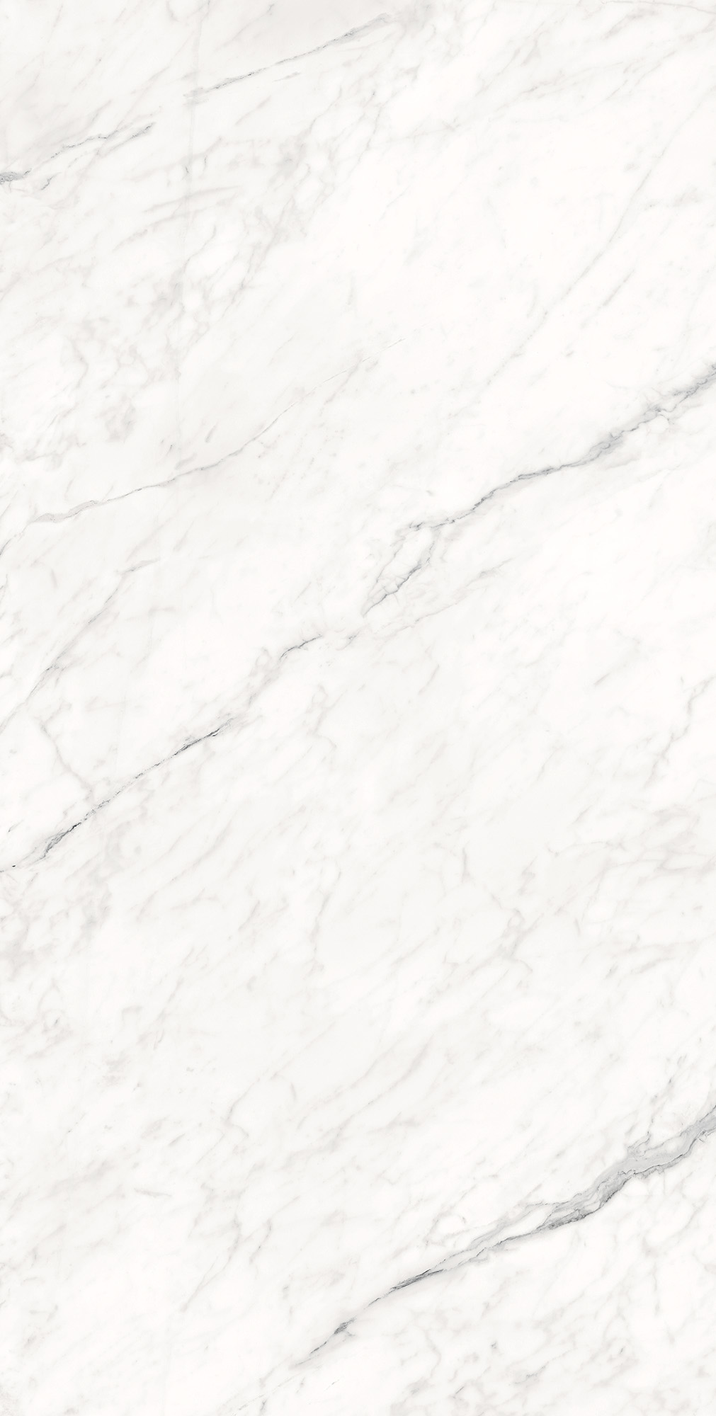 CZ-GL07-B На пол Montesa White Matt Glossy Ink 80x16 - фото 3