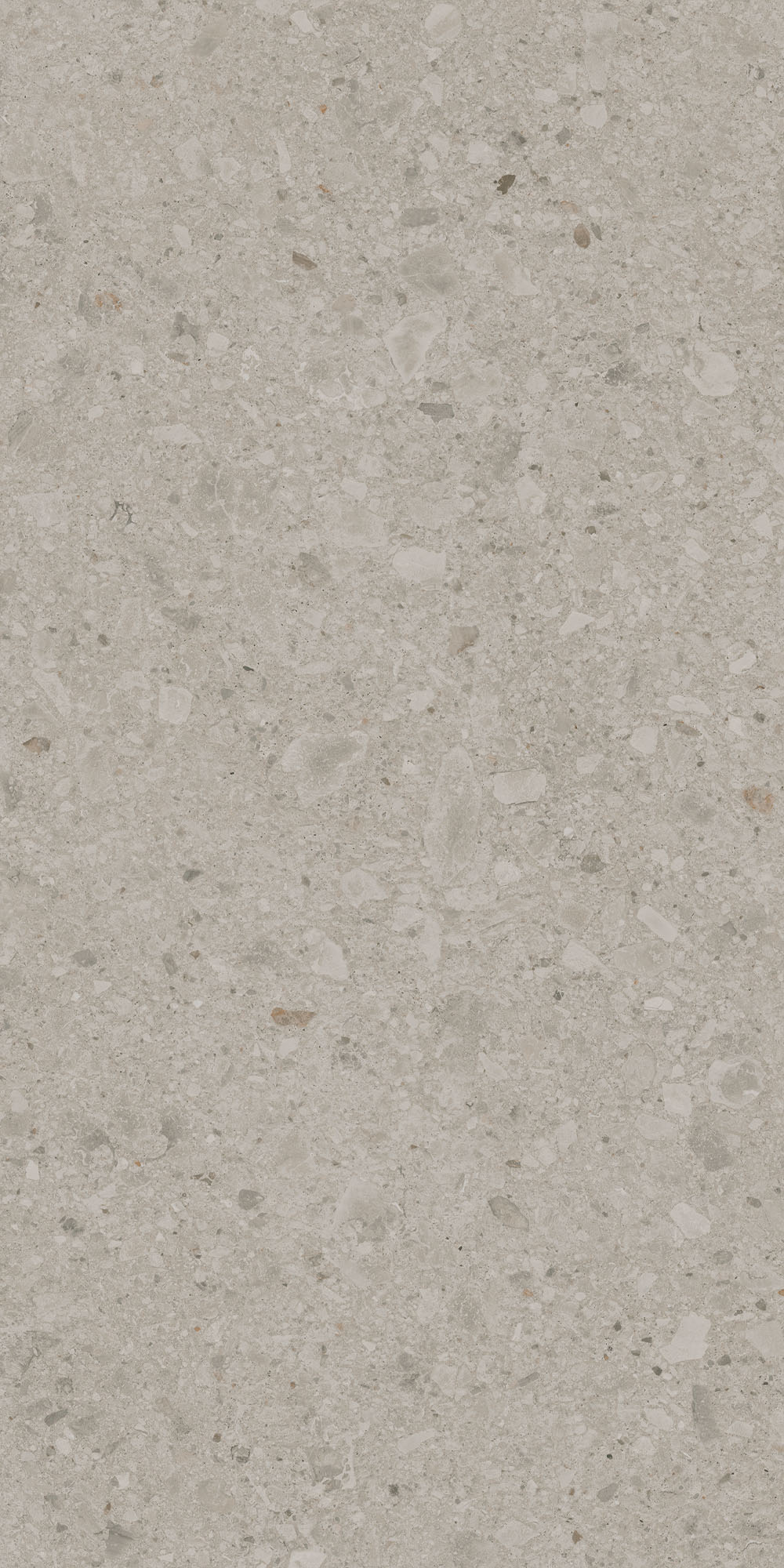 DD591300R На пол Чеппо ди Гре Бежевый светлый матовый обрезной 119.5x238.5x1.1 - фото 5