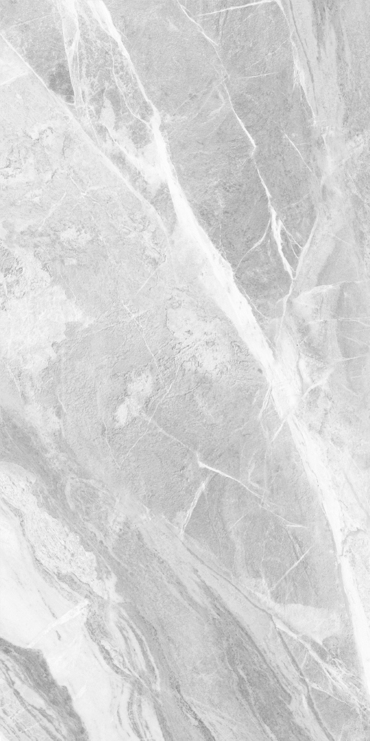 GT1206019501MDGR На пол Mumbai Серый матовый 60x120 - фото 5