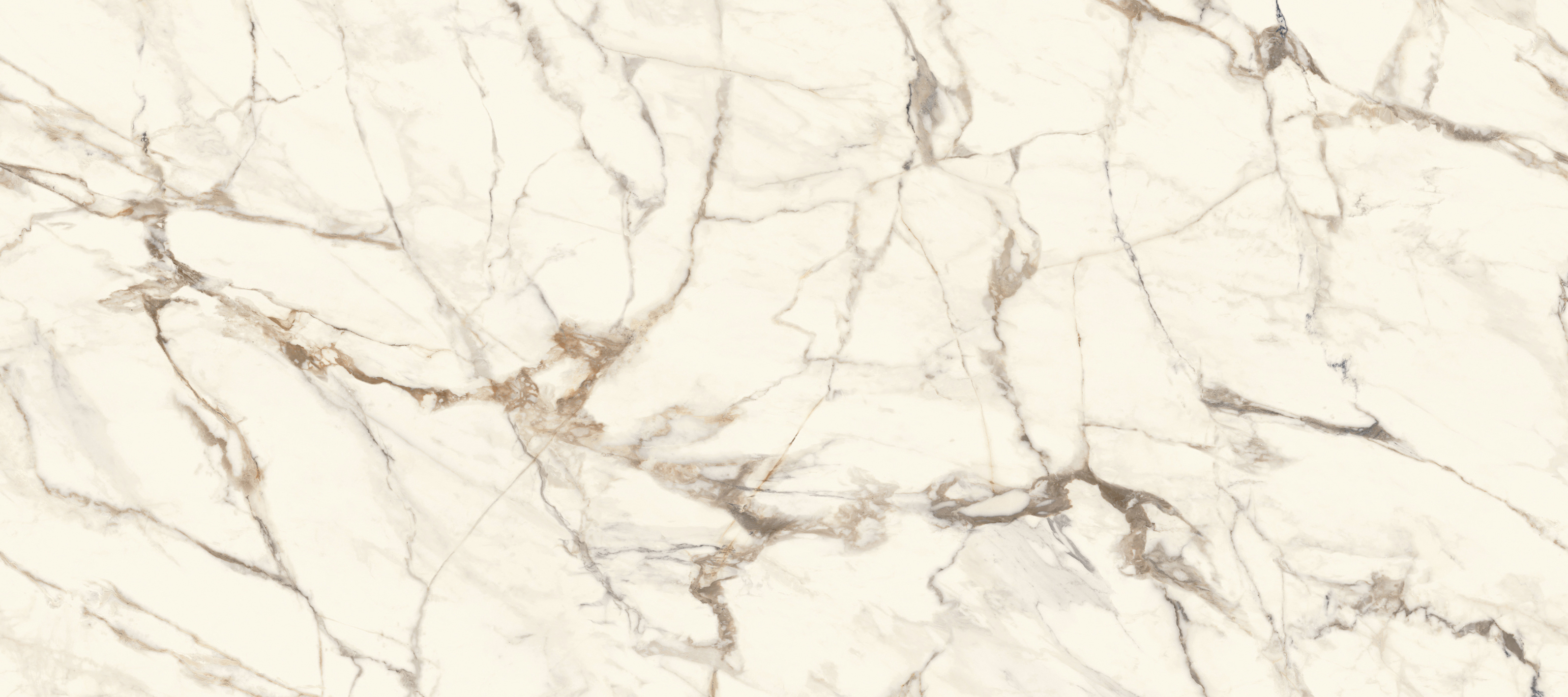 100332619 На стену Calacata Gold Polished 120x270 - фото 2