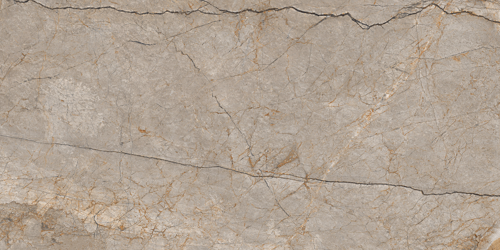 A17124 На пол Silver Roots Серый матовый ректификат 60x120 - фото 4